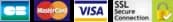 secured payment